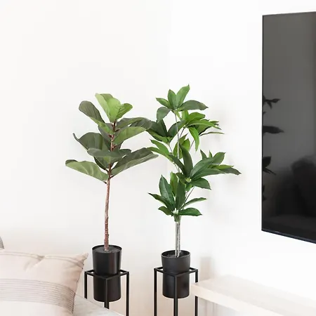 Vistas Residencial L Parking Privado *